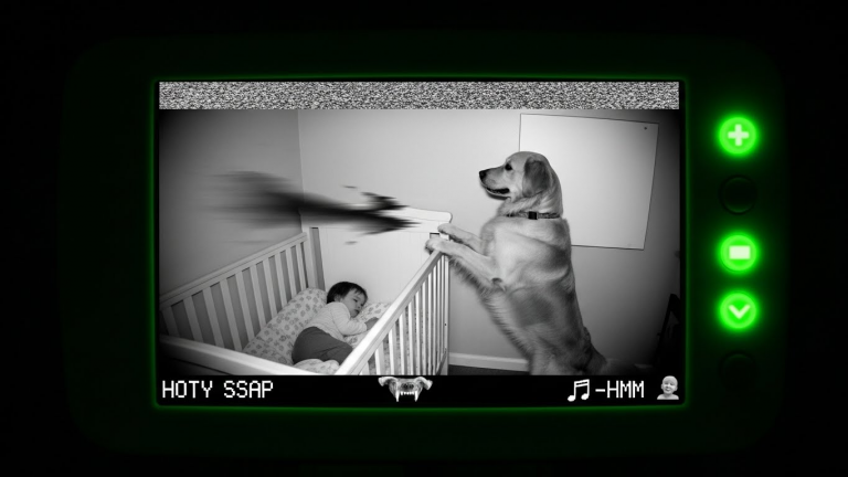 MY DOG KEPT GROWLING AT THE FLOOR AT 2:14 AM. WHEN I FINALLY OPENED THE HATCH UNDER THE RUG, I REALIZED HE WASN’T PROTECTING THE HOUSE FROM A GHOST—HE WAS PROTECTING US FROM WHAT WAS LIVING DOWN THERE.