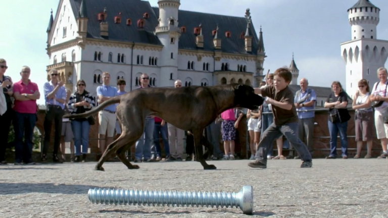 DIE DEUTSCHE DOGGE ZOG DEN KLEINEN JUNGEN VOM GELÄNDER DES SCHLOSSES NEUSCHWANSTEIN WEG. EINE SCHRAUBE FIEL AUF DEN STEINBODEN UND ROLLTE BIS VOR MEINE FÜẞE. DIE MENGE HIELT DEN ATEM AN.