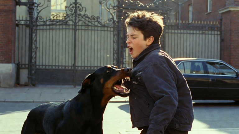 DER DOBERMANN BISS DEN JUNGEN VOR DEM SCHULTOR IN BERLIN IN DIE JACKE … DANN FUHR DER SCHWARZE WAGEN HINTER IHM PLÖTZLICH WEG.