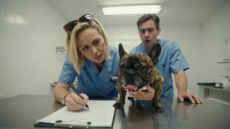 The Little French Bulldog Was Licking His Owner’s Hand While She Signed The Euthanasia Papers… But When I Looked Into His Eyes, I Discovered The Reason Was A Lie. – storyteller