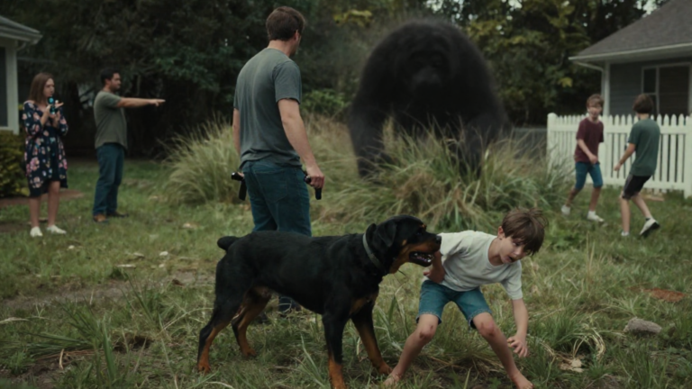 The Neighbors Screamed For Me To Shoot The Rottweiler Dragging A 7-Year-Old Boy… But Then I Looked Into The Tall Grass And Dropped My Gun. – storyteller