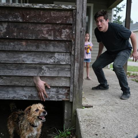 The Whole Neighborhood Warned Me About the Little Girl’s Aggressive Dog… What I Found Hidden Under Her Porch Chilled Me To The Bone. – storyteller