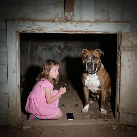 I Heard Vicious Growling From The Crawlspace And Saw A Stray Pit Bull Trapping My Three-Year-Old Niece In The Dirt… The Reality Hidden In The Shadows Paralyzed Me.