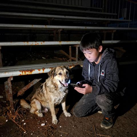 The Town Wanted To Shoot The “Savage” Shelter Dog Found Huddled Over A Missing 6-Year-Old Boy Under The Bleachers… But My Flashlight Revealed The Terrifying Truth Crawling Towards Them.