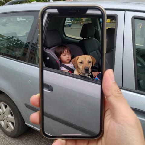 I ignored the mangy stray barking at an abandoned minivan in the suffocating heat of the mall parking lot, dismissing it as a nuisance—until I peered through the smudged, sun-baked glass.
