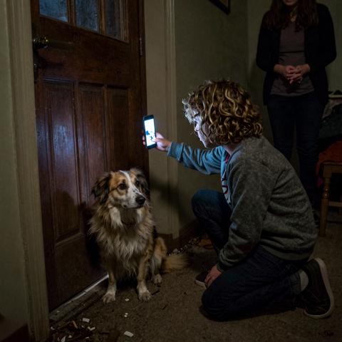 I Brought Home The Dog Every Shelter Worker Feared… What My 7-Year-Old Whispered To Him Revealed The Terrifying Secret Of The Locked Room In Our House.