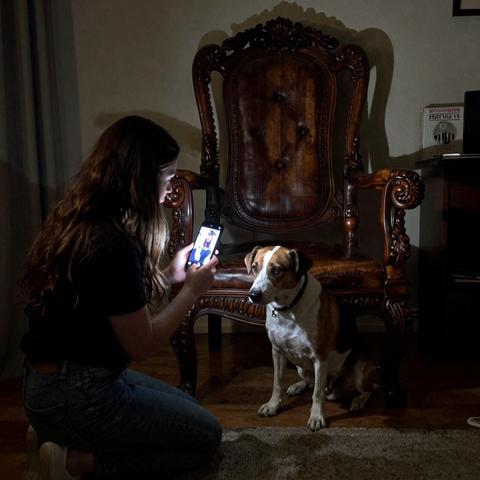 “I Thought My Rescue Dog Was Grieving His Past. Then I Looked Under The Antique High Chair…”