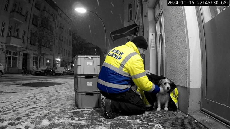 DER LIEFERFAHRER LEGTE SEINE FIRMENJACKE ÜBER EINEN FAST ERFRORENEN HUND VOR DEM BERLINER LADEN UND WURDE NOCH AM SELBEN TAG ENTLASSEN — DOCH ALS DER CEO DIE ÜBERWACHUNGSKAMERA SAH FEUERTE ER NICHT DEN FAHRER SONDERN DEN FILIALLEITER.