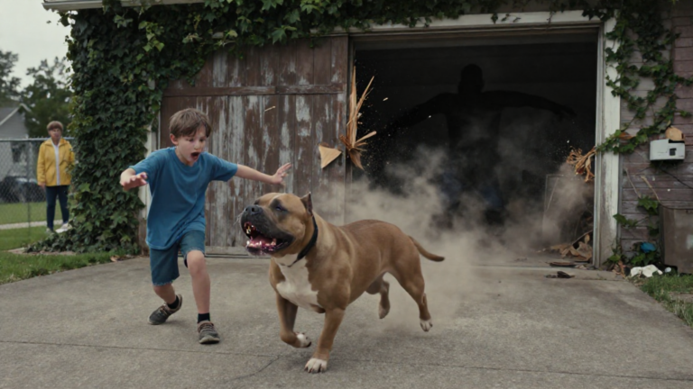 I Thought My Neighbor’s Old Garage Was Empty For Years. Then A Loose Pit Bull Lunged At My Ten-Year-Old Son, And What Burst Through That Wooden Door Changed Our Town Forever. – storyteller