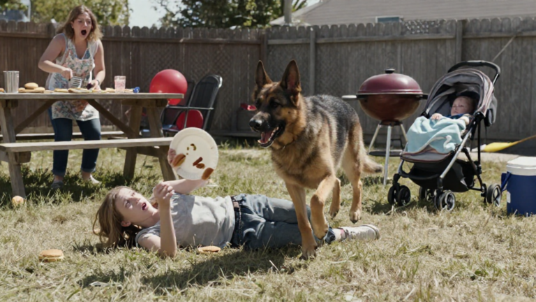 My German Shepherd Viciously Lunged At Our New Teenage Babysitter During A Family Barbecue, And I Locked Him Away In Anger Before Seeing The Terrifying Truth Hidden On My Infant’s Skin. – storyteller